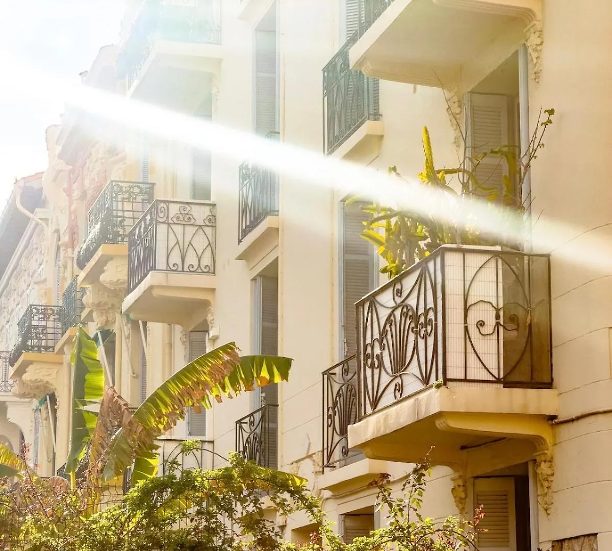 Les Bananiers Centre Ville Cannes France